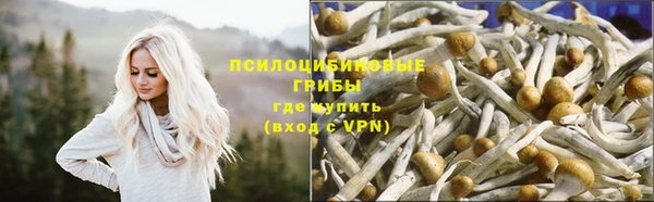 2c-b Балабаново