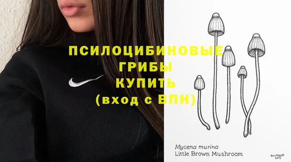 2c-b Балабаново