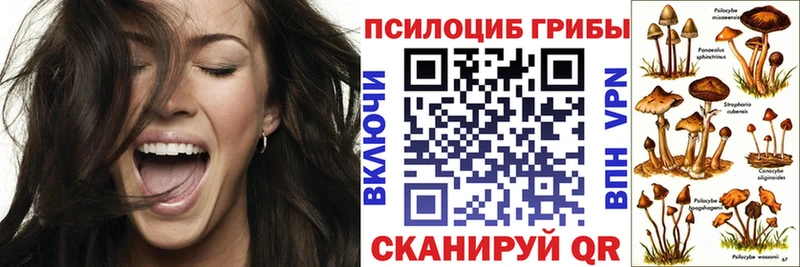 MEGA ONION  Купино  Галлюциногенные грибы Psilocybine cubensis 