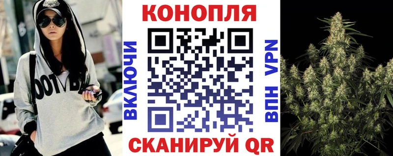 Бошки марихуана семена как найти наркотики Купино